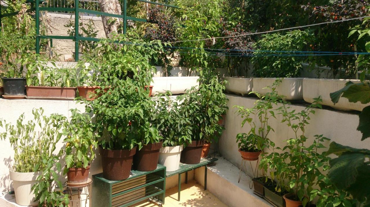 Apartman Paro Split Exterior foto